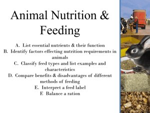 00-Animal Nutrition & Feeding PP