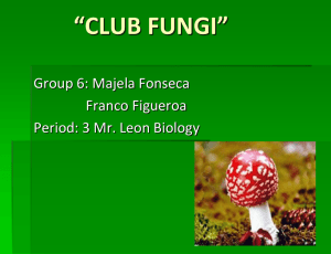 The Club Fungi powerpoint