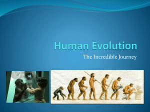 Human Evolution - Trial-for-file