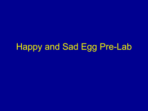 Happy and Sad Egg Prelab