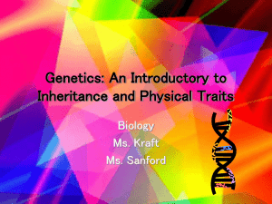 Genetics: An Introductory to Inheritance and Physical Traits
