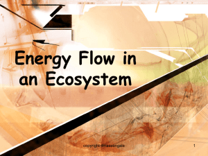 Food Energy & Ecosystems