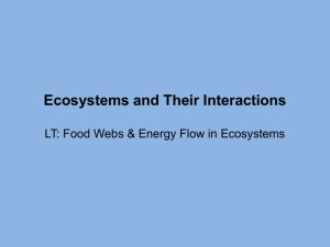 Ecosystems Interactions PPT