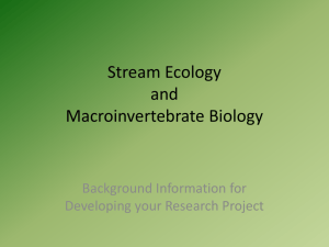 Stream Ecology Introduction Presentation
