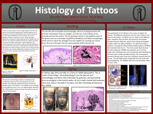 Histology of Tattoos