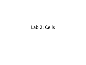 Lab 2: Cells - fog.ccsf.edu