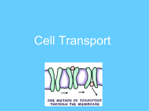 Cell Transport - WordPress.com