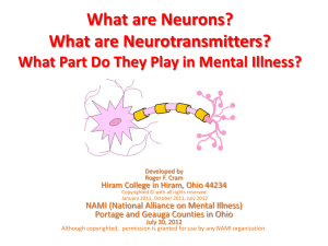 Neurotransmitters and Mental Illness
