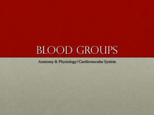 Blood Groups PPT