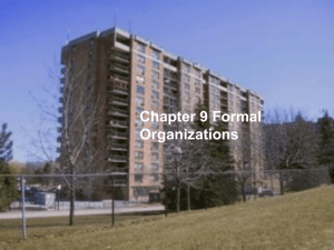 Chapter 9 Formal Organizations