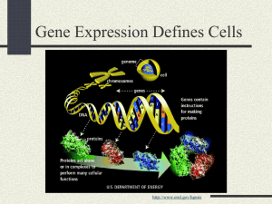 Gene Expression Module Presentation 2