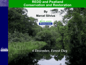 Why peatlands under REDD?