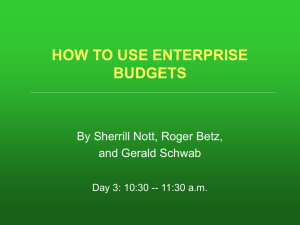 How to Use Enterprise Budgets