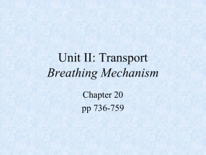Transport Breathing Mechanism