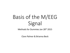 Basis of the M/EEG Signal