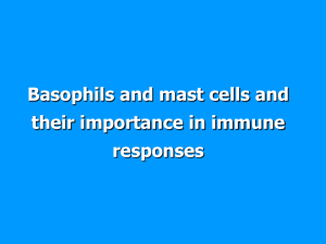 Connective tissue mast cells