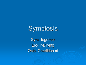 Symbiosis - Think Science!