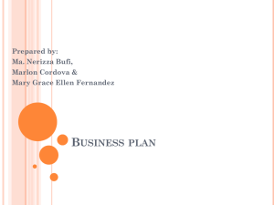Business plan - WordPress.com