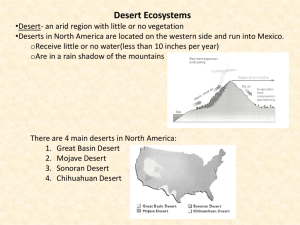 Desert Powerpoint