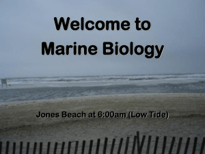 Welcome to Marine Biology