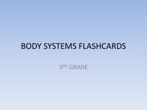 body systems flashcards - the Essentially Science Wiki!