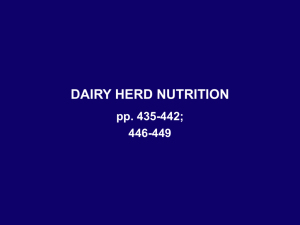 Lecture 27 (Dairy Herd Nutrition)