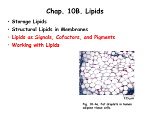 Chapter 10B Lecture