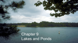 Ponds and Lakes ppt.