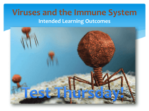 Viruses and the Immune System