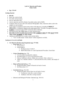 Lab 14-Bacteria and Protists Study Guide - Biology102-104