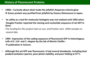 Fluorescent proteins