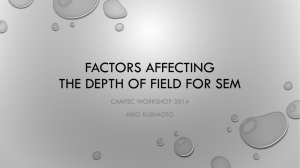 Factors affecting the Depth of Field for SEM