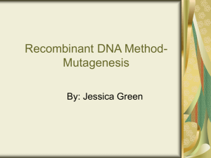 Jessica G.--Mutagenesis