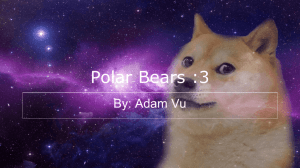 Polar Bears :3
