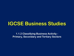 1.2.1 Classifying Business Sectors