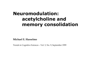 Neuromodulation during sleep