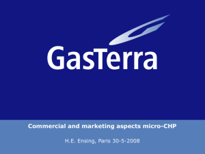 Commercial and marketing aspects micro-CHP.
