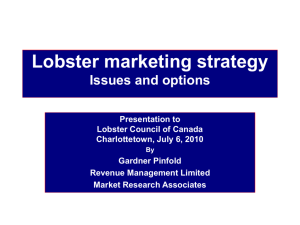 Lobster marketing strategy Issues and options