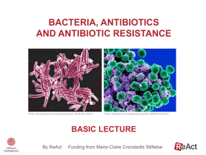 Basic lecture on antibiotic resistance pptx