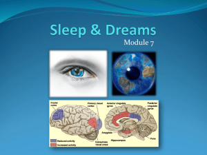 Sleep & Dreams - Wohlmuth@Weebly