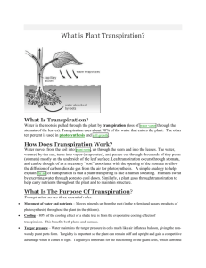 What is Plant Transpiration-Handout