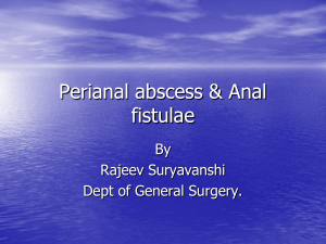Perianal abscess & pilonidal disease