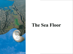 The Sea Floor - Miss Collins' Science Classes