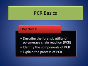 PCR Basics - Mr. Wells' wikispace