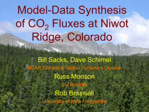 Model-Data Synthesis of CO2 Fluxes at Niwot Ridge, Colorado