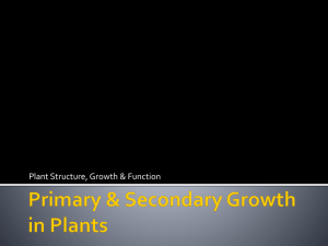 Primary & Secondary Growth in Plants