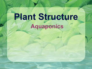 Plant Structure 2014 website