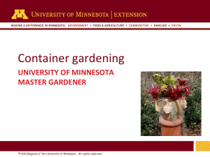 Container gardening - University of Minnesota Extension