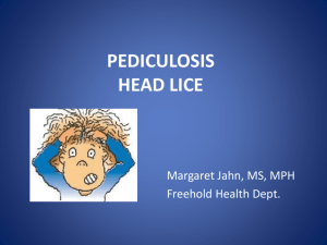 Learn About Head Lice