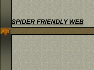 SPIDER FRIENDLY WEB